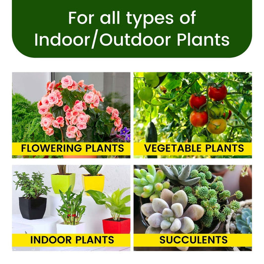 🔥 BUY 1 GET 3 🎁 | TOTAL 100 MAGIC STICKS 🌱 | Dr Green’s Plant Food Sticks | Faster Growth 🌿 | More Flowers &amp; Fruits 🌸🍅 | For Indoor &amp; Outdoor Plants 🪴